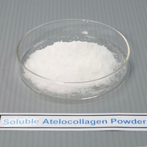 Soluble Atelocollagen Powder去端肽可溶性胶原蛋白粉.jpg