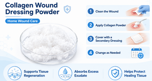 Wound Dressing.png