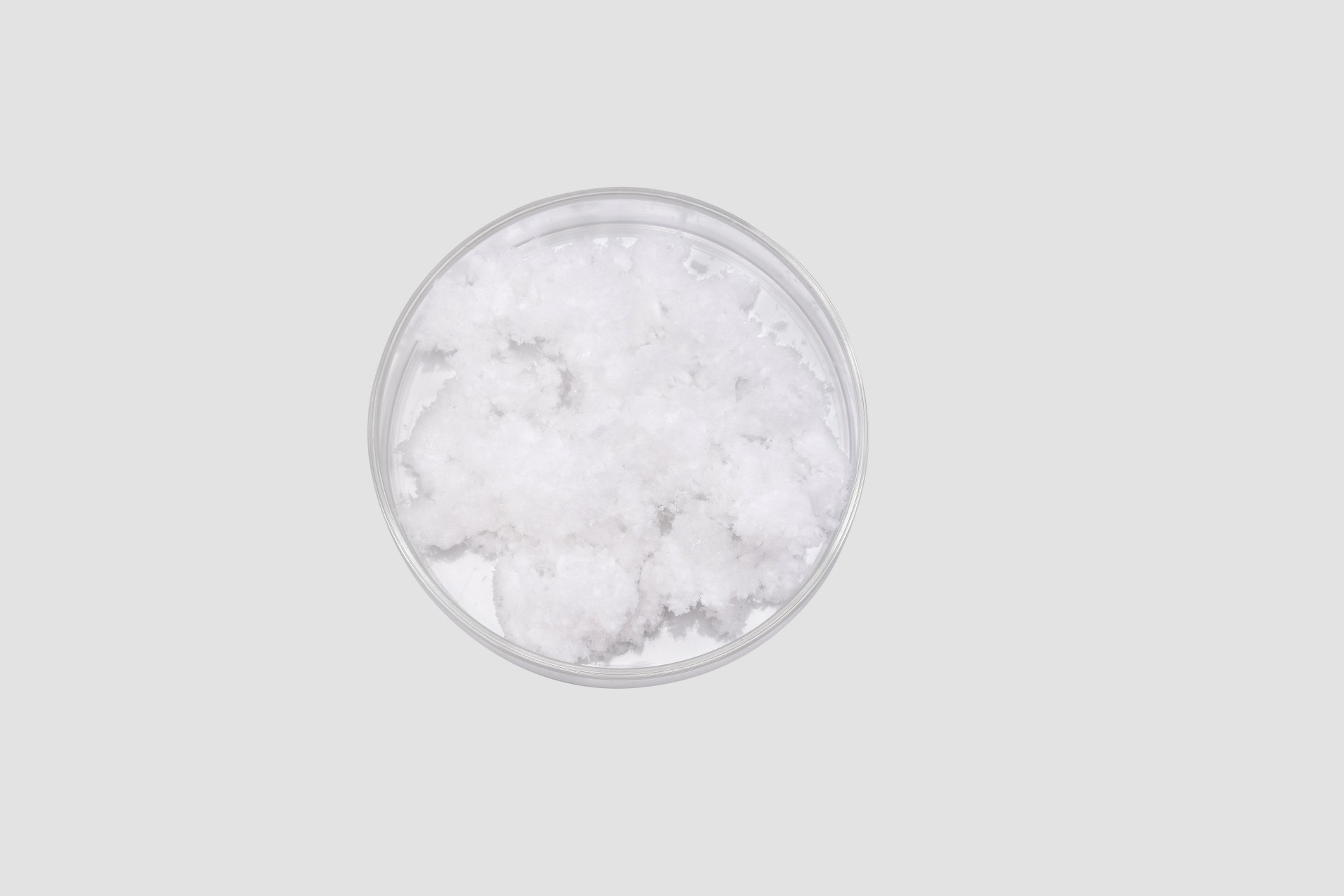 Ателоколлагеновый порошок